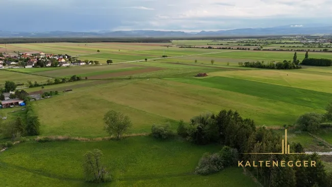eine wunderschöne Aussicht auf die grüne Landschaft rundherum