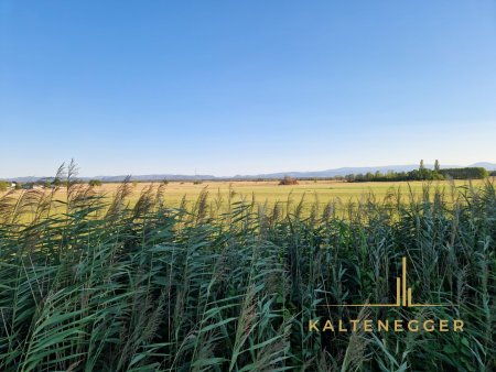 Aussicht vom Ende des Grundstücks auf die Felder