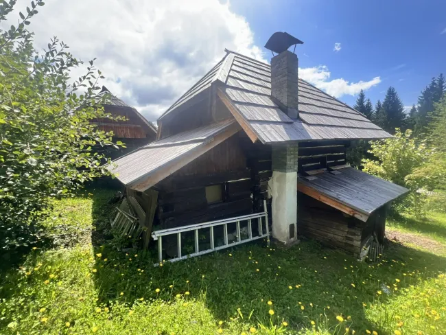Historischer Kärntner "Troadkasten" mit "Keuschn" in idyllischer Lage - Bild