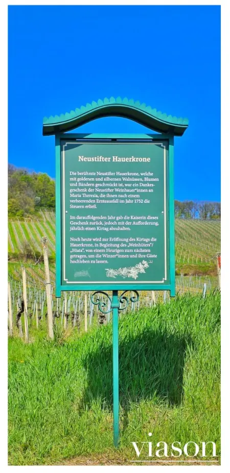 Spazieren in den Weinbergen