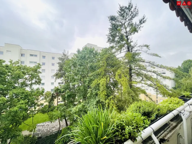 Aussicht von der Loggia