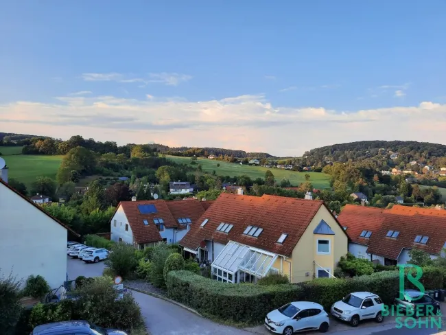 Ausblick