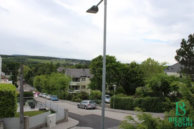 Vorgarten - Hauseingang