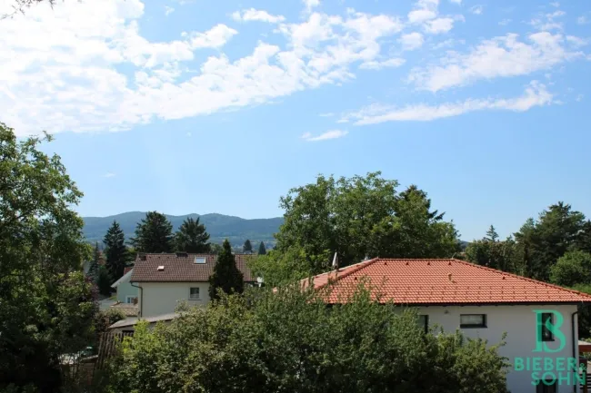 Ausblick