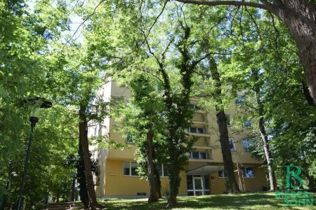 Hausansicht in Parkanlage