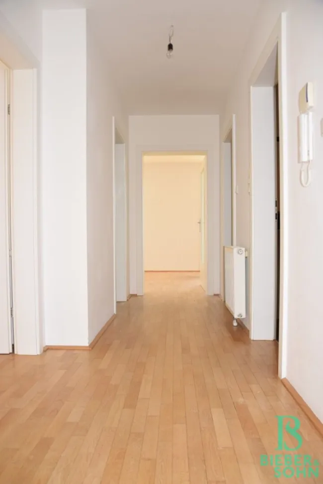 Vorraum/Blick Wohnraum