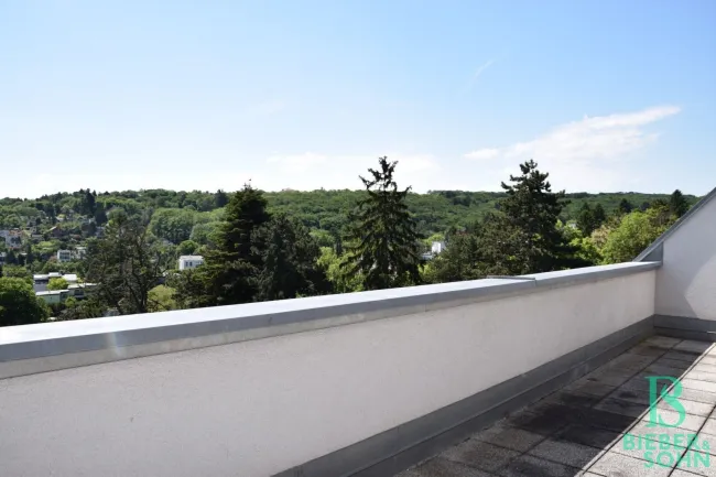 Ausblick