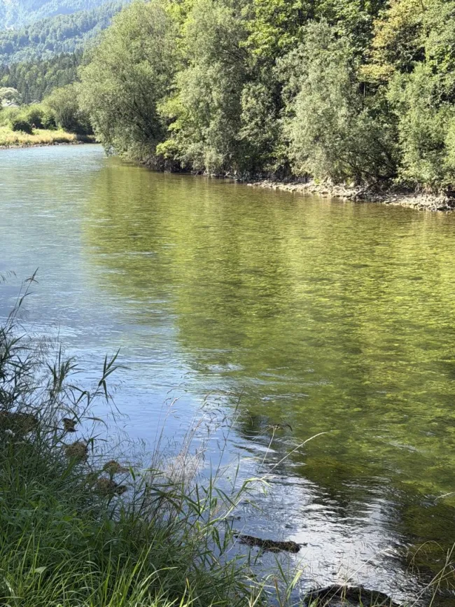 5,7 km Fliegen - Fischwasser Kärnten - Bild