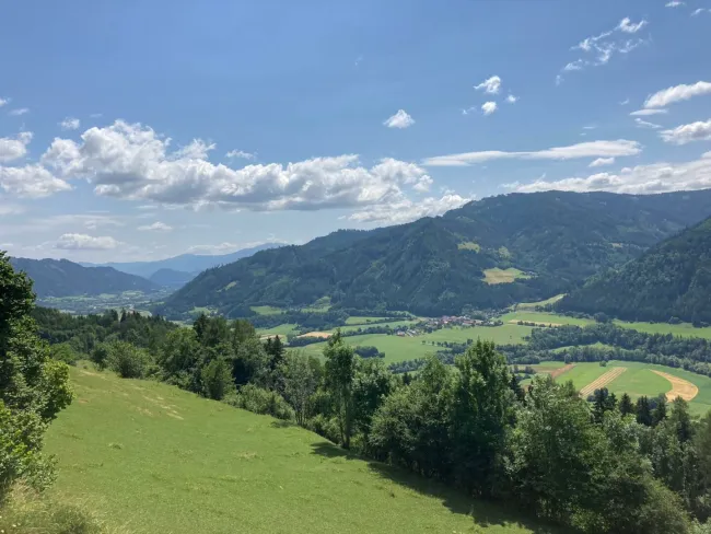 3 ha Grund & Boden - Wertanlage - Bild
