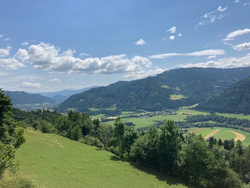 Weide für Viehtrieb oder Pferde - Bild