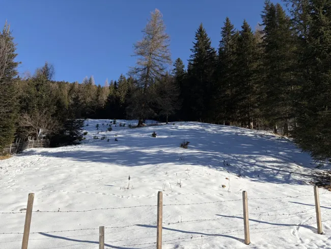 Idyllisches Freizeitgrundstück in Innerkrems: 919m² für Ihre Traum-Almhütte - Bild