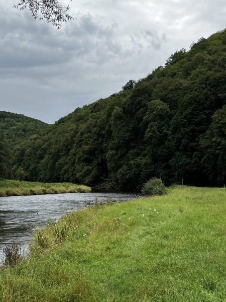 390 ha Waldbesitz mit 460 ha Jagdfläche