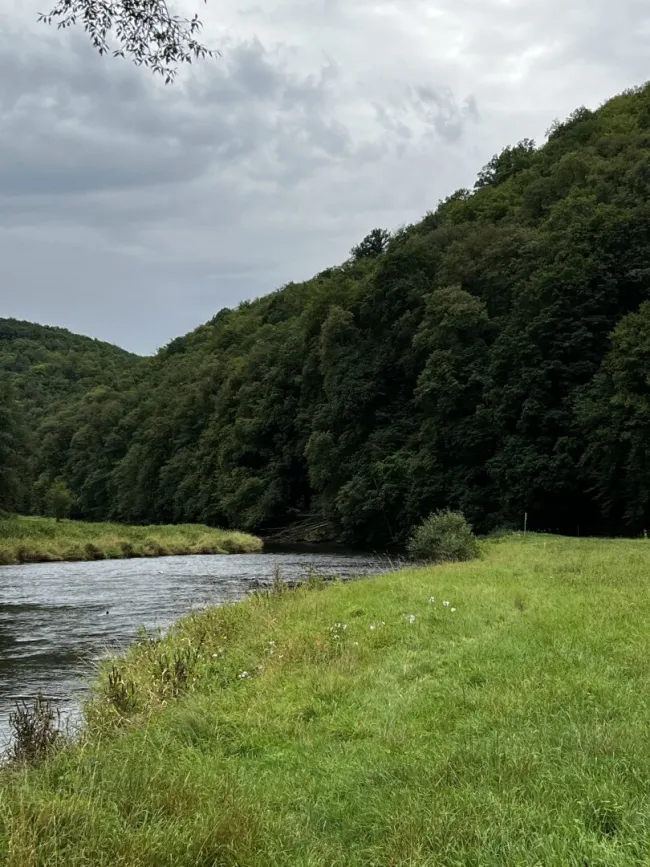 390 ha Waldbesitz mit 460 ha Jagdfläche - Bild