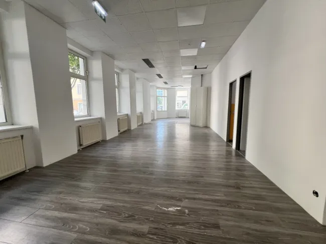 Großzügiges Büro -Schauraum mit 4 Zimmern und 2 WCs und großem Magazin im 1050 Wien – 254 m² Mietfläche! - Bild