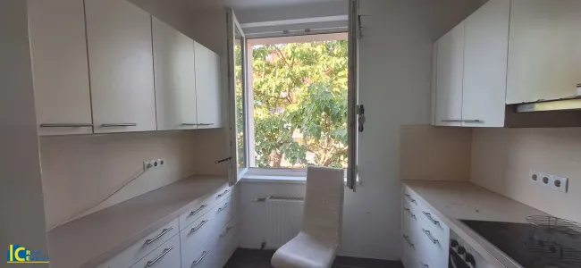 Blick ins Grüne