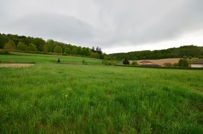 Beinahe 5.900 m² - BAUGRUNDSTÜCK am Ortsrand in toller Lage - Bild