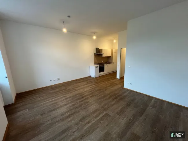 Moderne Wohnung in Leoben Donawitz zu vermieten - 2,5 Zimmer - Titelbild