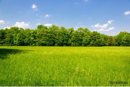 Gewerbefläche ab 5.000 m² in unmittelbarer Nähe zur S36