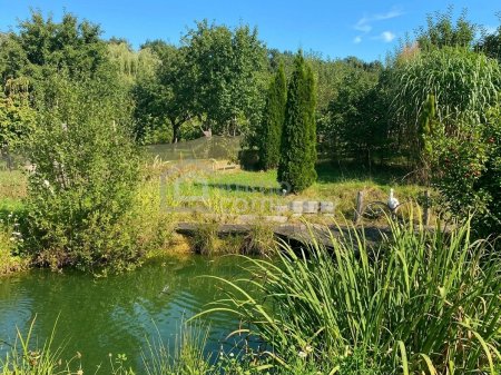 Gartenparadies im Südburgenland