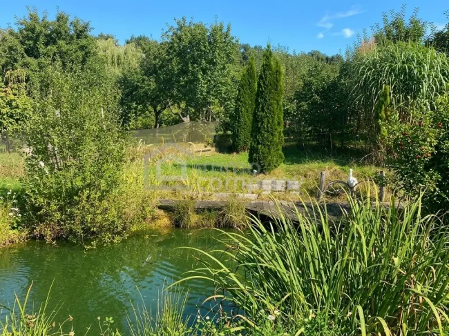 Gartenparadies im Südburgenland - Bild