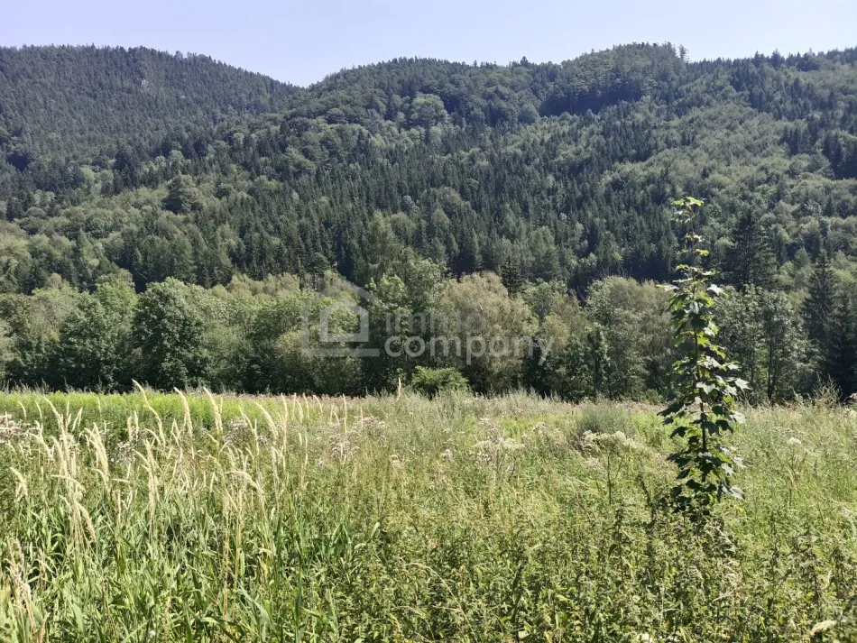 Ihr eigenes Grundstück am Semmering - Titelbild
