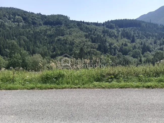 Traum-Baugrund in Semmering-Kurort, 1272m² - Bild