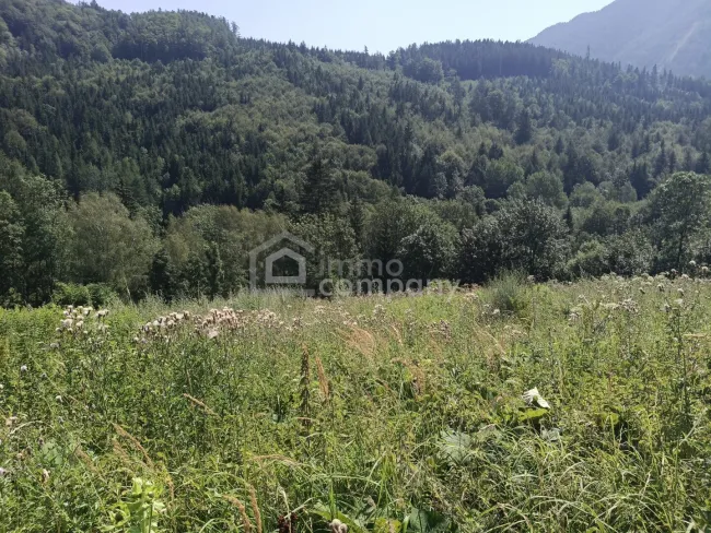 Traum-Baugrund in Semmering-Kurort, 1272m² - Bild