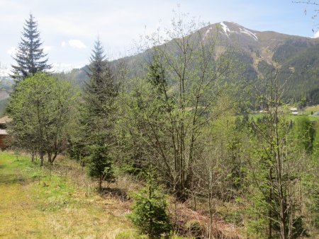 1123 m² allgemeines Wohngebiet in Hohentauern mit Baumbestand