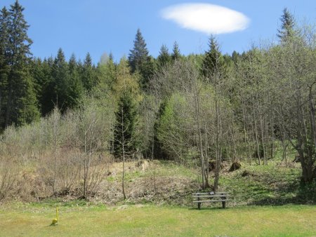 1123 m² allgemeines Wohngebiet in Hohentauern mit Baumbestand