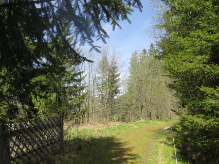 1123 m² allgemeines Wohngebiet in Hohentauern mit Baumbestand