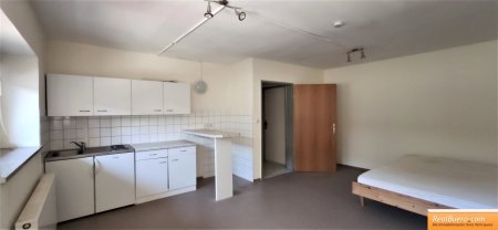 Wohnschlafzimmer mit Kochnische