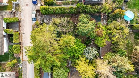 Ideal geschnittener Baugrund für Ihr Einfamilienhaus – Altbaumbestand – ruhig, grün, sofort verfügbar