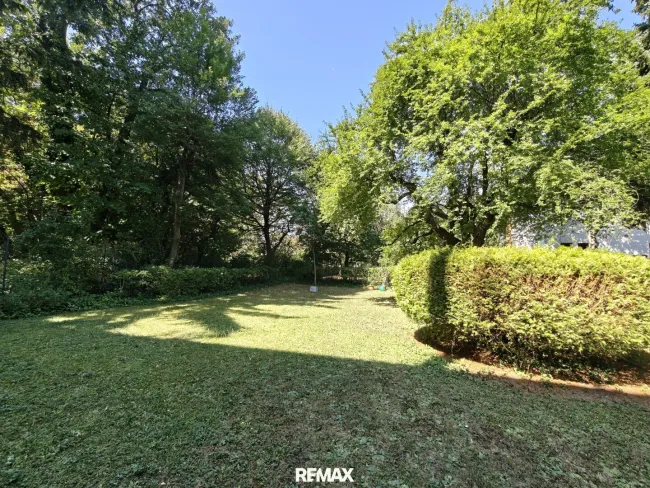 großer gepflegter Gemeinschaftsgarten