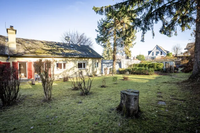 Exklusive Villa in begehrter Bestlage am Ruckerlberg - Bild