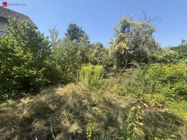 Baugrundstück 342 m2 in 1210 Wien – Ihr Traumgrundstück um 259.000€! - Bild