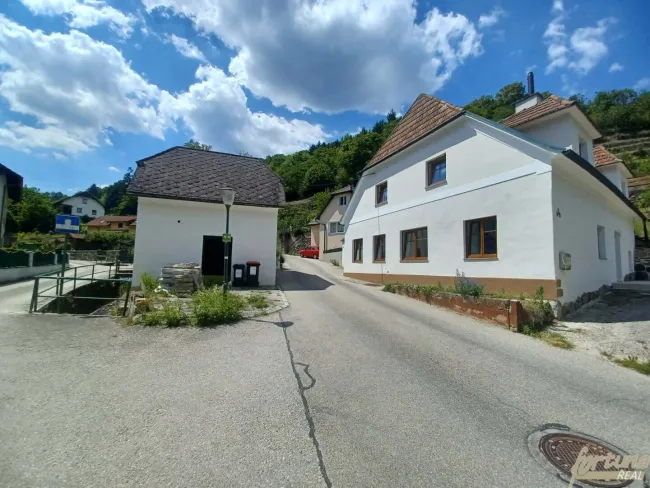 Groisbach in der WACHAU: Landhaus mit terrassenförmigem Grundstück – Donaublick vom oberen Grundstücksbereich - Bild
