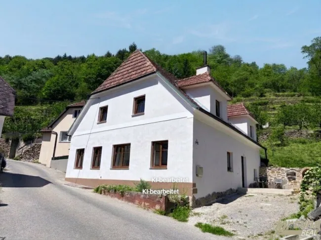 Groisbach in der WACHAU: Landhaus mit terrassenförmigem Grundstück – Donaublick vom oberen Grundstücksbereich - Bild