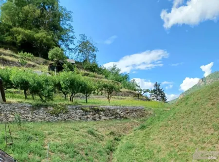Wachauer Landhaus mit terrassiertem Naturgrundstück