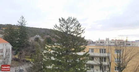 Dachgeschosswohnung mit Terrasse in zentraler Lage in Baden