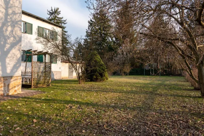 Vielseitiges Einfamilienhaus mit Garten & Garage in Stockerau! - Bild