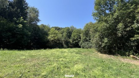 Blick in das Grundstück