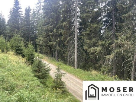 Lassnitz-Murau +++ 3,2 ha sehr gut bestockter Wirtschaftswald - ideal für Anleger - zu verkaufen +++
