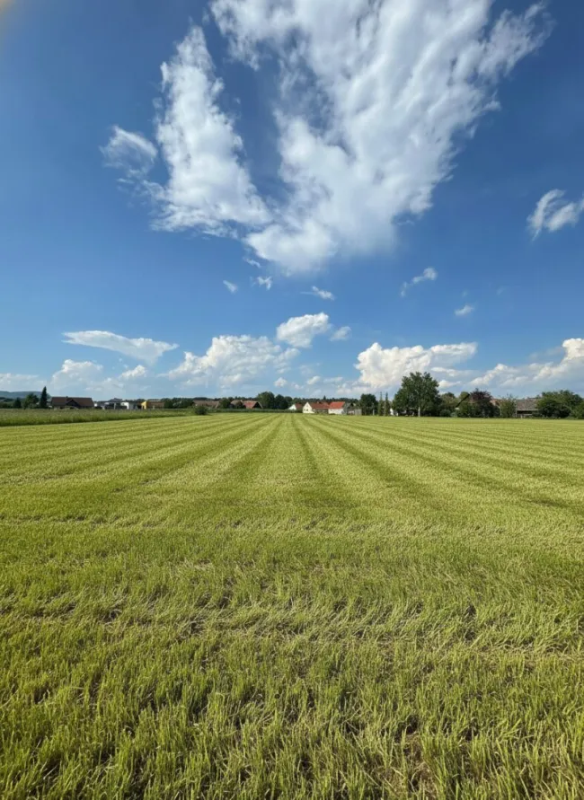 BAUGRUNDSTÜCKE IN OBERGRALLA I WA 0,2–0,4 I BIS ZU 346 M² BRUTTOGESCHOSSFLÄCHE MÖGLICH I ROTO IMMOBILIEN - Bild