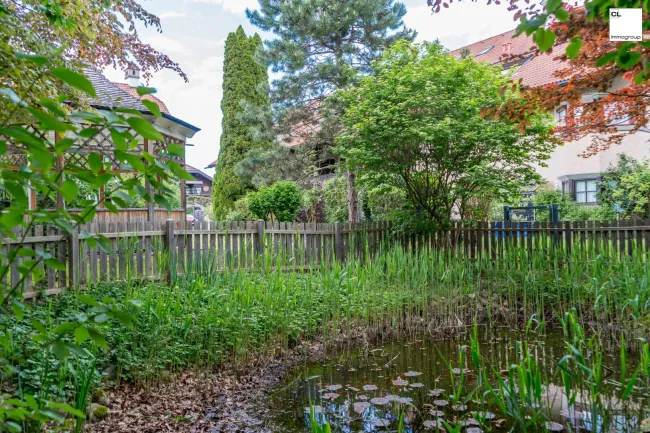 Gartenteich