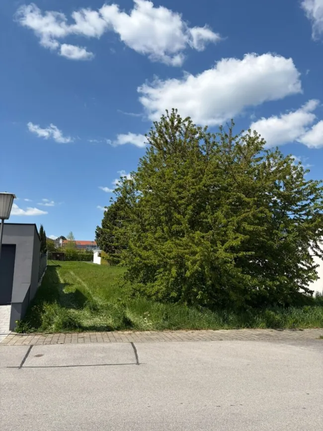 700 m² Lebensqualität in Ruhelage – Ihr Grundstück am Villasteig 19 in Breitenbrunn am Neusiedlersee - Bild