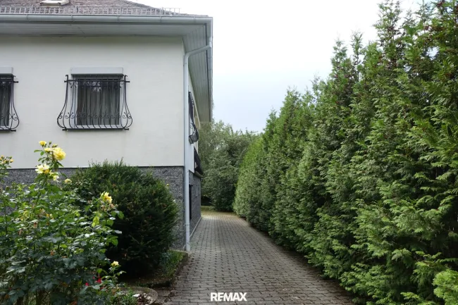 Großzügiges Einfamilienhaus in traumhafter Ruhelage am Waldrand - Bild