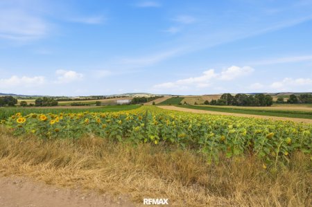 Landwirtschaftliche Fläche mit 11 710 m² in Untermallebern zu verkaufen!