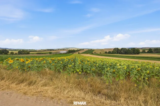 Landwirtschaftliche Fläche mit 11 710 m² in Untermallebern zu verkaufen! - Titelbild