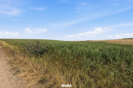 Landwirtschaftliche Fläche mit 7026 m² in Untermallebern zu verkaufen!