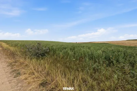 Landwirtschaftliche Fläche mit 7026 m² in Untermallebern zu verkaufen!